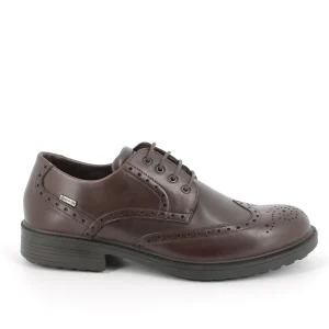 IGI&CO Scarpe PELLE GORE-TEX 26042